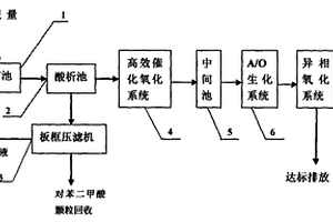 堿減量廢水資源化處理工藝