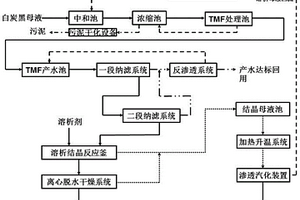 白炭黑生產(chǎn)廢水處理系統(tǒng)和處理工藝