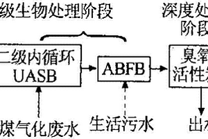 煤氣化廢水深度處理系統(tǒng)