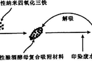 磁性釀酒酵母菌的制備方法及其處理印染廢水技術