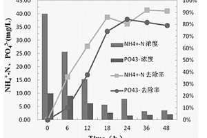 一株耐鹽脫氮除磷高地芽孢桿菌其在廢水處理中的應(yīng)用