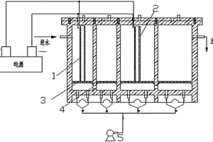 高鹽度的酸性有機(jī)廢水的電解處理裝置及方法