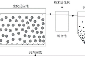 利用載體流態(tài)化生物膜反應器處理廢水的方法