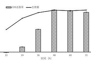 鹽單胞菌及處理高鹽廢水的方法