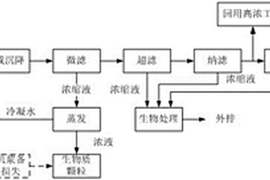 化機(jī)漿廢水膜分離耦合蒸發(fā)處理工藝及裝置