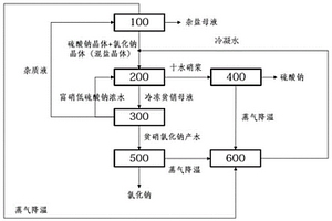 基于凝結(jié)水回收的鹽硝分離廢水處理系統(tǒng)和方法