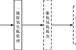 處理DCP廢水的方法