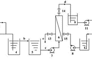 雙膜法深度處理檸檬酸廢水的裝置