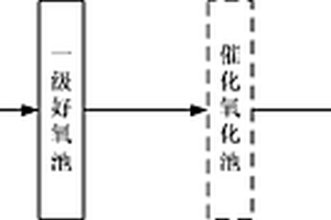 處理DCP廢水的系統(tǒng)