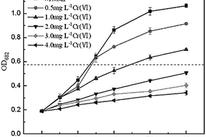 利用活異養(yǎng)微藻去除廢水中Cr6+的方法