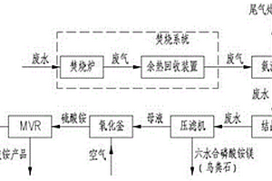 含磷硫高濃度有機(jī)廢水鳥(niǎo)糞石法資源化處理工藝