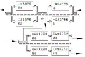 利用水葫蘆去除廢水中重金屬的方法