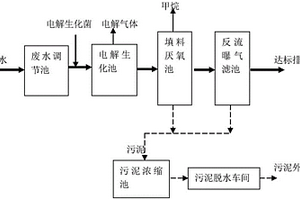 硝基酚廢水處理裝置