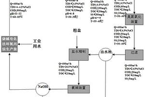 燒堿皂化法環(huán)氧丙烷廢水的資源化處理方法