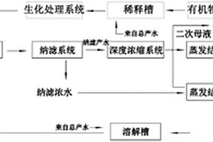 高含鹽廢水蒸發(fā)母液的處理系統(tǒng)