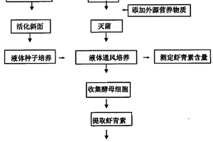 利用黃漿水培養(yǎng)富含蝦青素的紅發(fā)夫酵母的方法