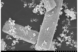 新型柱狀Bi<Sub>2</Sub>MoO<Sub>6</Sub>光催化劑及其制備方法