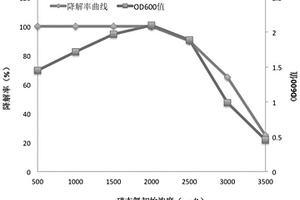 脫氮菌株及微生物菌劑和應(yīng)用