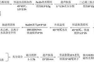 聚丙烯酰胺負(fù)載的磁性殼聚糖吸附劑的制備方法及應(yīng)用