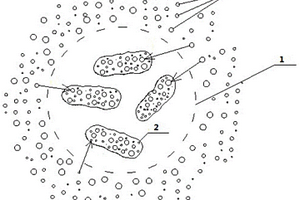 用于回收重金屬的微生物膠囊