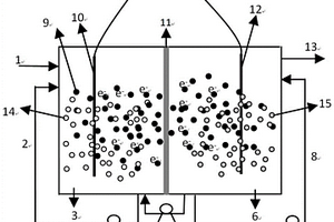 導(dǎo)電介質(zhì)輔助的雙生物室電化學(xué)膜生物反應(yīng)器及其應(yīng)用方法