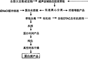 利用十二烷基三甲基氯化銨反膠束溶液提取大豆蛋白的方法