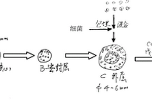 細菌載體顆粒的制作方法