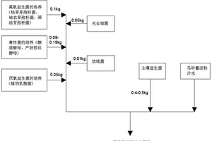 馬鈴薯淀粉汁水菌肥發(fā)酵工藝方法