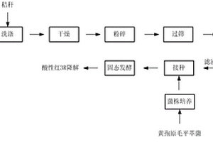 秸稈吸附偶聯(lián)真菌發(fā)酵去除酸性紅3R的方法