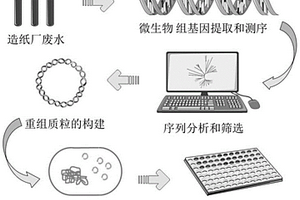 宏基因組來(lái)源的木聚糖酶及其編碼基因