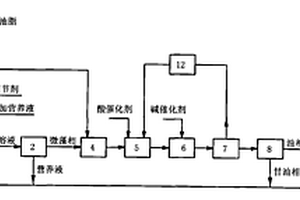 偶合廢棄油脂和工程微藻生產(chǎn)生物柴油的系統(tǒng)裝置