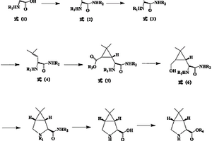 （1R，2S，5S）-6，6-二甲基-3-氮雜雙環(huán)[3，1，0]己基-2-羧酸酯的制備方法