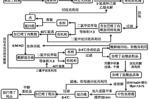 化學(xué)-酶法生產(chǎn)加巴噴丁的方法