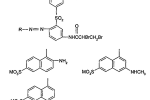 紅色毛用活性染料及其制備方法及用途