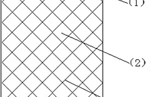 基于網(wǎng)狀條帶納米炭纖維固著基水處理填料