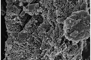 非均相光催化劑g-C<Sub>3</Sub>N<Sub>4</Sub>@α-FOD的制備方法及其降解有機(jī)污染物的應(yīng)用