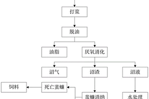 利用蜚蠊消納餐廚垃圾沼氣工程沼渣的方法