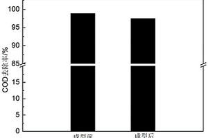 催化濕式氧化催化劑的成型方法