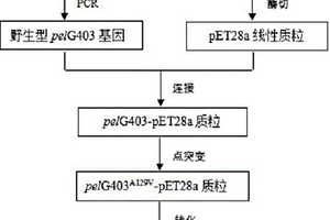 果膠裂解酶突變體△PelG403及其編碼基因、制備方法和應(yīng)用