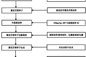 中重度堿性硫酸鹽漬土紫花苜蓿規(guī)?；N植方法