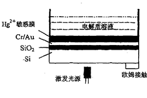 用于檢測Hg2+的薄膜光尋址電位傳感器及其制備方法