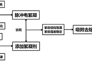 脈沖電絮凝與絮凝相結(jié)合去除水中重金屬的方法