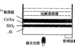 用于檢測(cè)Fe3+的薄膜光尋址電位傳感器及其制備方法