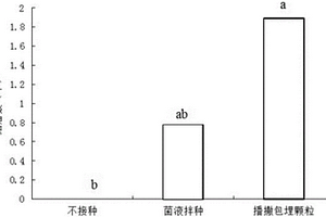 紫花苜蓿根瘤菌固定化包埋顆粒劑型的制備方法及其應用