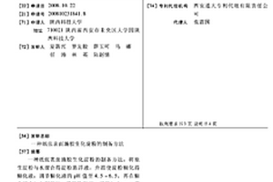 紙張表面施膠生化淀粉的制備方法