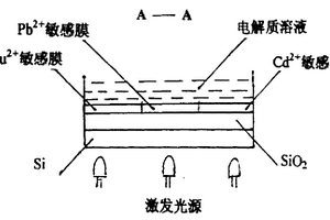 用于同時(shí)檢測(cè)Cu2+、Pb2+、Cd2+的陣列式薄膜傳感器及其制備方法