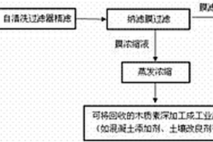 對(duì)木漿造紙黑液資源化處理的工藝