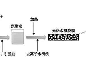 兩性聚電解質(zhì)光熱水凝膠、其制備和應(yīng)用