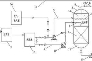 高效的廢氣生物處理裝置