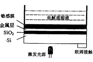 用于檢測重金屬離子的薄膜光尋址電位傳感器